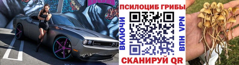 Псилоцибиновые грибы MAGIC MUSHROOMS  Иннополис 